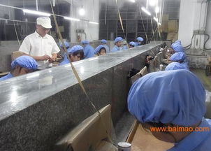 加工PVC玩具塑膠公仔，首選東莞鴻博 品質(zhì)、價格、服務(wù)一站式解決方案