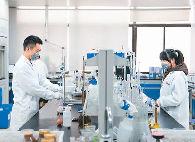 技術服務 數字時代中的視覺敘事與創新支持